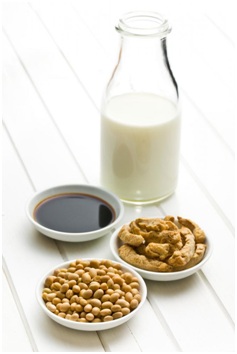 benefits of having soy protein in your diet