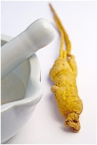 Benefits of Panax ginseng